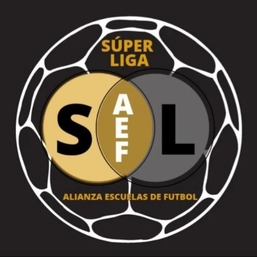 liga-femenina-sm-arcangel