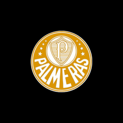 Palmeras FC